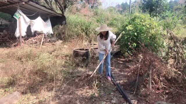 广西农村妹子废旧草屋改造农家小院,享受田园慢生活,多陪家人