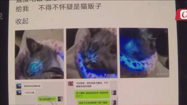 为啥我来背黑锅?青岛女子好心给客户提供交易地点,却遭买家投诉!