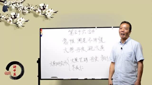 中医经方“大柴胡大黄牡丹汤”化瘀清热祛湿,阑尾炎盆腔炎特效方