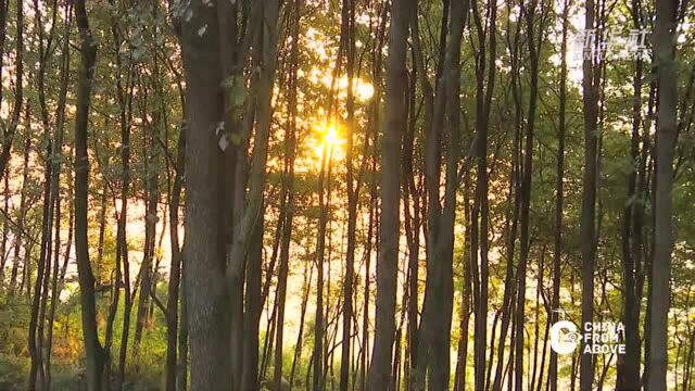 瞰中国|重庆万盛的冬日