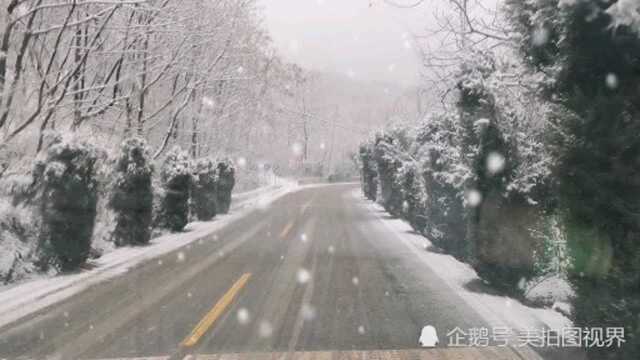 白雪纷飞,山路崎岖,能否遇到你的美?