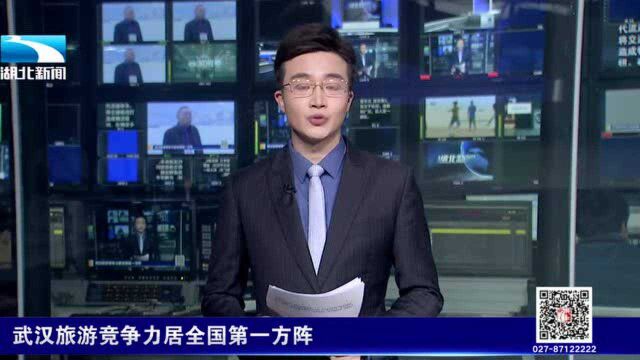 为你们点赞!武汉旅游竞争力居全国第一方阵