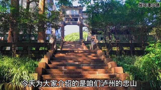 探寻大泸州江阳区忠山亭和植树碑