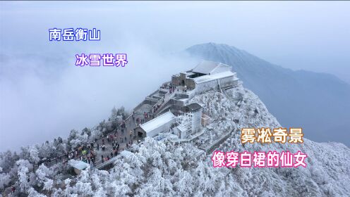湖南南岳衡山现奇景，满山都是雾凇，像进入了白色的童话世界