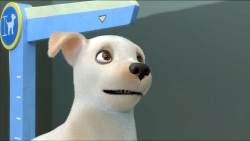 动画：全班个头最小的狗狗，为了当上导盲犬，体检时使劲拱起自己的耳朵