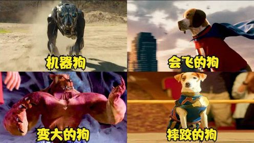 这四部电影中的奇葩狗子，你觉得哪个更厉害，会飞的狗好厉害啊