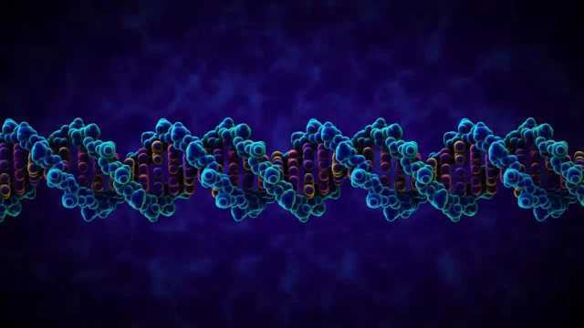 8.DNA分子结构