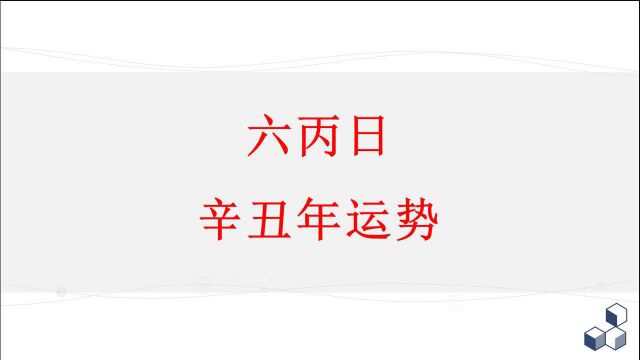 运势分析,六丙日明年辛丑的运势分析