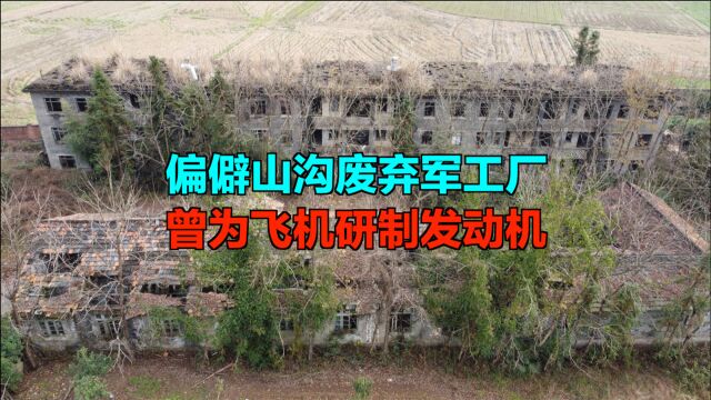 曾为飞机研制发动机,山沟里的三线军工厂,如今断壁残垣杂草丛生