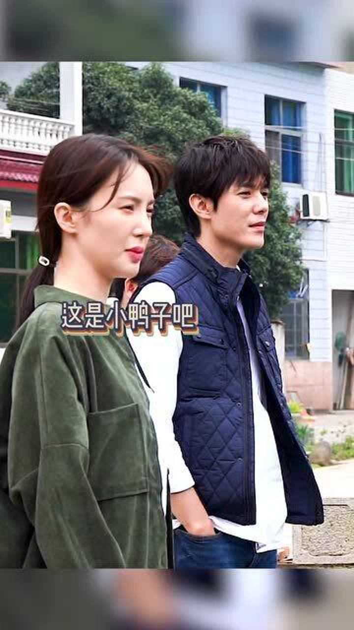 张超一本正经的胡说八道,金晨听完都乐坏了!