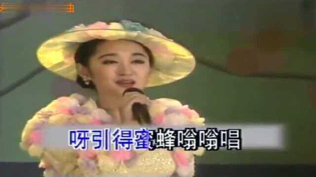 杨钰莹《茶山情歌》,当年无限循环播放的歌曲