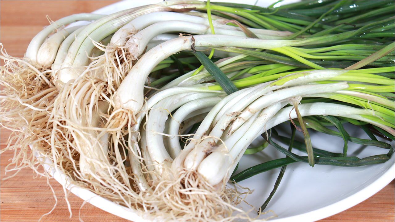 藠头,四川人爱吃的家常做法,不腌制不凉拌, 端上桌就被抢光