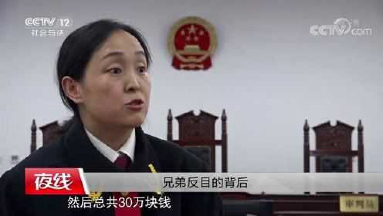 亲兄弟反目成仇,打官司判决后,得到一个好结果_高清1080P在线观看平台_腾讯视频