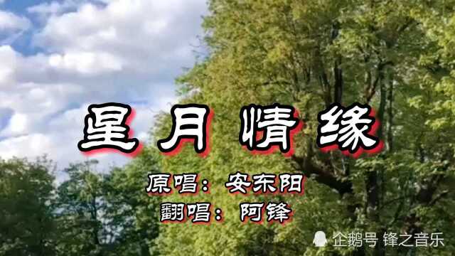 一首可以分享给你爱的人听的歌曲《星月情缘》,满满的爱意,动人