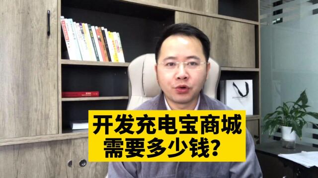 市场刚需!开发充电宝用品零售批发在线商城小程序需要多少钱呢?