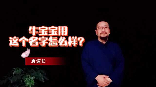 牛年出生的宝宝取名“明晨”适不适合?要注意什么?