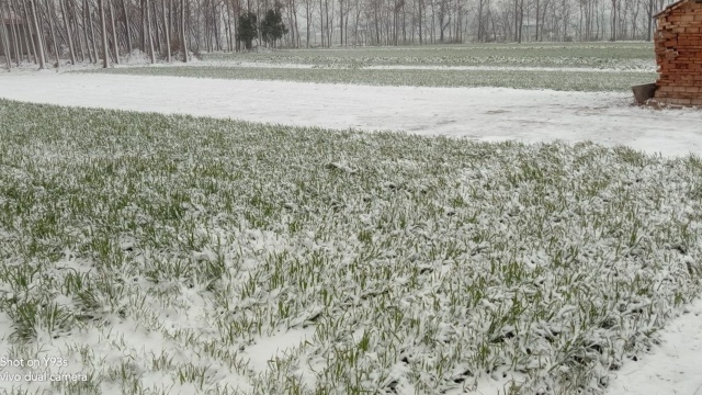 春节的雨雪多吗?看腊月初一农村谚语怎么说,来年的天气也能早知道