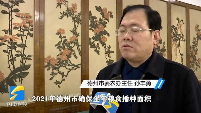 德州扶贫办主任:加大农业全产业链培育 让粮食产业发展成为履责富民朝阳产业