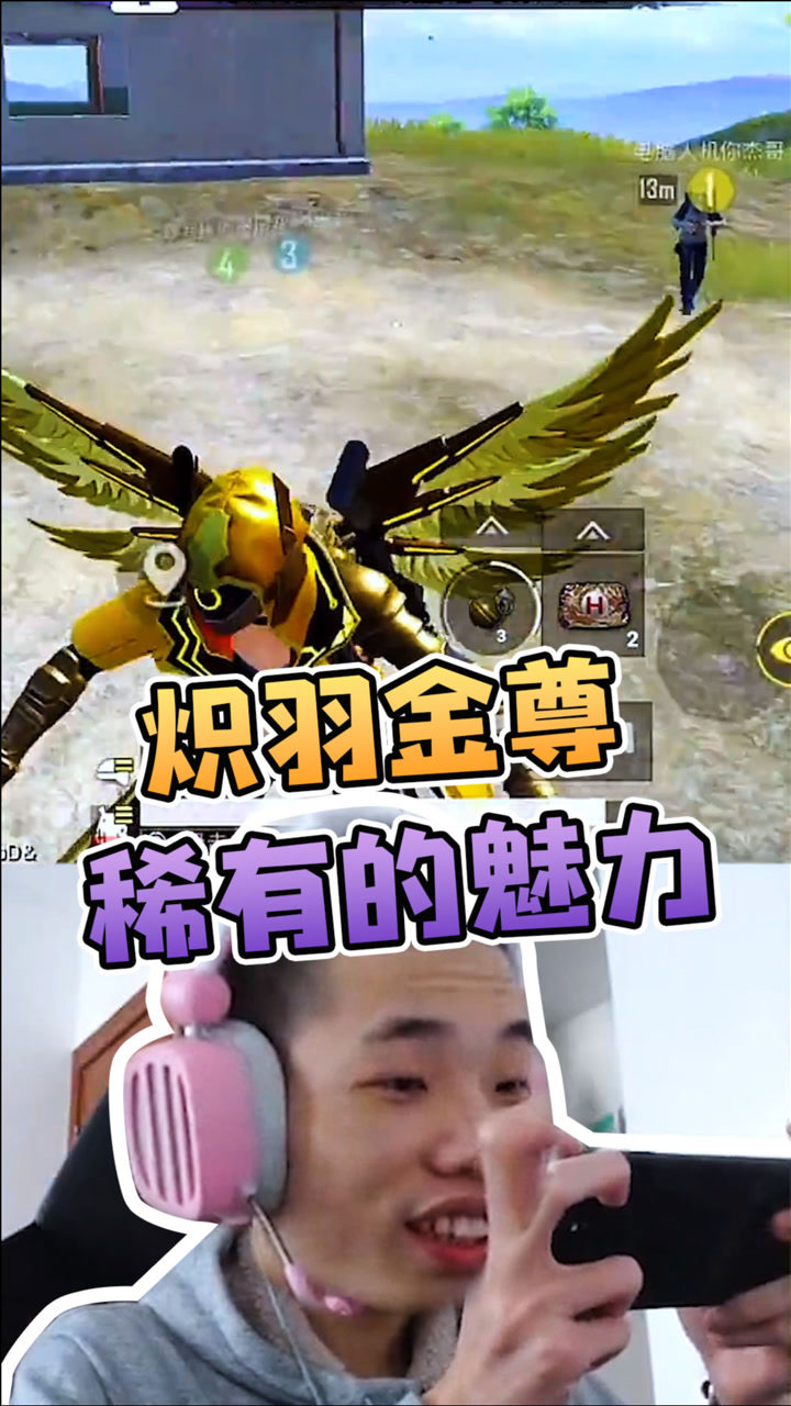 鲨鱼哟炽羽金尊稀有的魅力终究没能打动你
