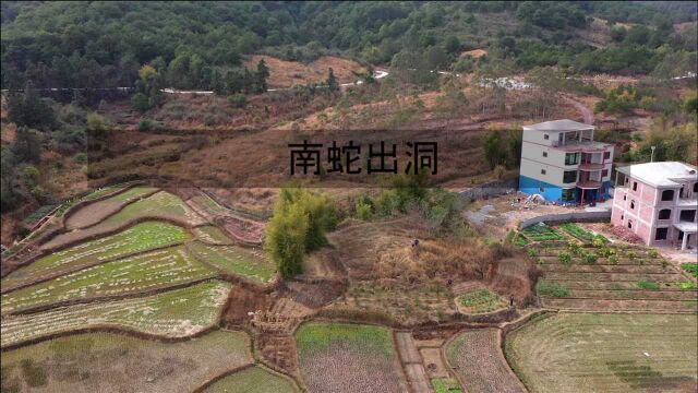 广西贺州农村美景赏析,南蛇出洞,这个村子很富有