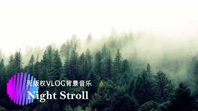 无版权VLOG背景音乐Night Stroll