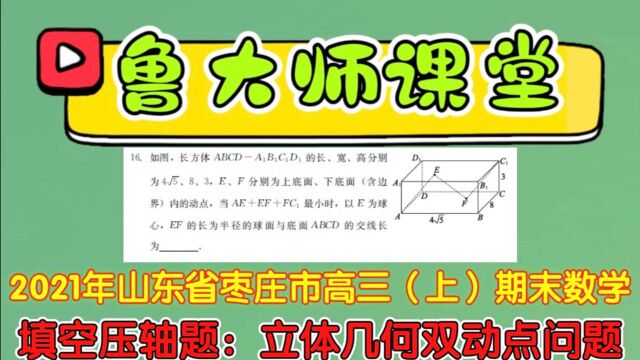 Q93.2021年山东省枣庄市高三(上)期末数学填空压轴题:双动点