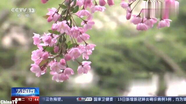 愤怒!获刑!变态男子在小学校园门口,专摸女学生胸部猥亵(三)