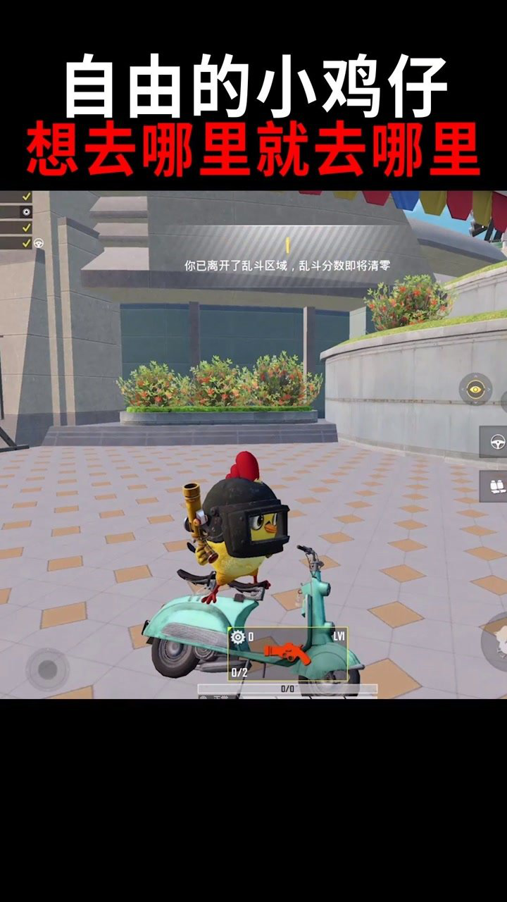 特训岛里的小鸡仔真的是一个自由的灵魂想去哪里就去哪里吃鸡和平精英