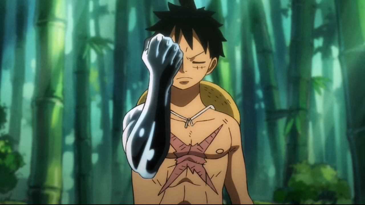 路飞终于练成流樱霸气