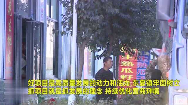 潍坊青州市东夏镇 创新实干 谱写产镇融合新篇章