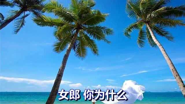 一首怀旧情歌《海韵》