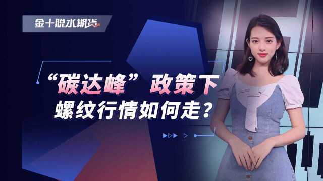 我国出台“碳达峰”政策,“排放大户”钢制品会涨价吗?