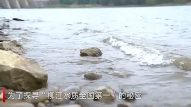 为涵养“绿色水库”,融水贝江这家子三代人都在做同一件事