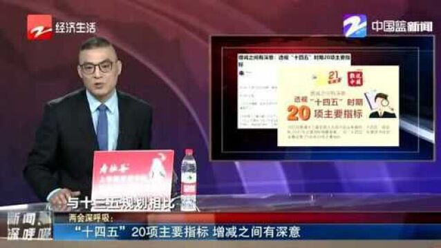 “十四五”20项主要指标 增减之间有深意