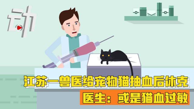 江苏一兽医给宠物猫抽血后休克 医生:或是猫血过敏