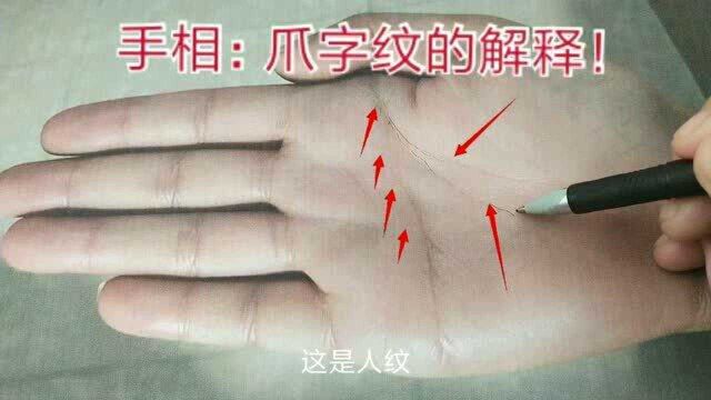 手相:爪字纹的解释(60)