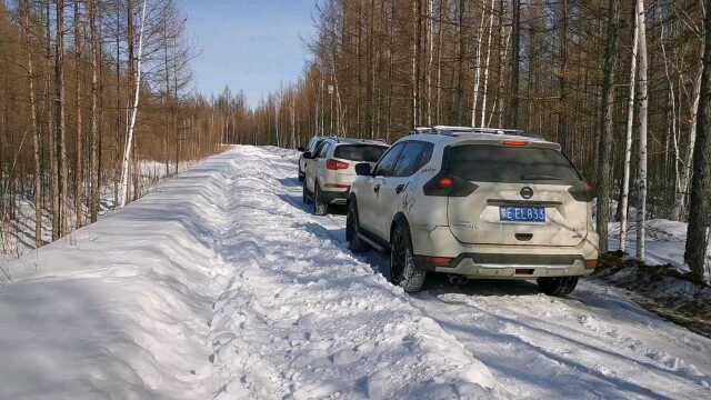 3月份呼伦贝尔,某公司部门团建,穿越根河大兴安岭林区,探访布冬霞驯鹿部落,邂逅中国冷极村浪漫烟花之夜,活动完美收官!