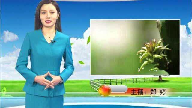 张家口天气预报3月19日