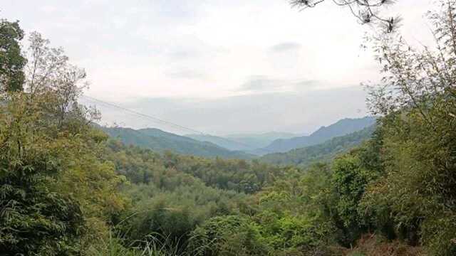 看风水,青山绿水,风景秀.