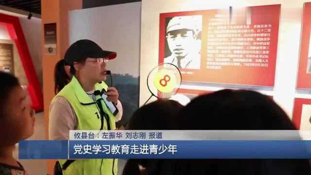 学党史 悟思想 办实事 开新局 | 攸县:党史学习教育走进青少年