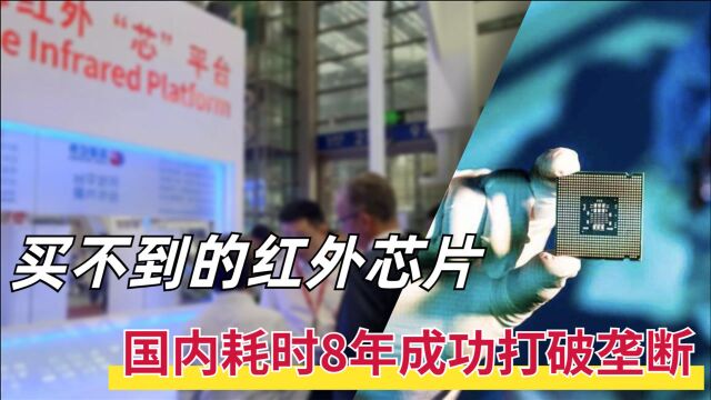 买不到的红外芯片,国内企业用8年突破,把价格压低到几百元