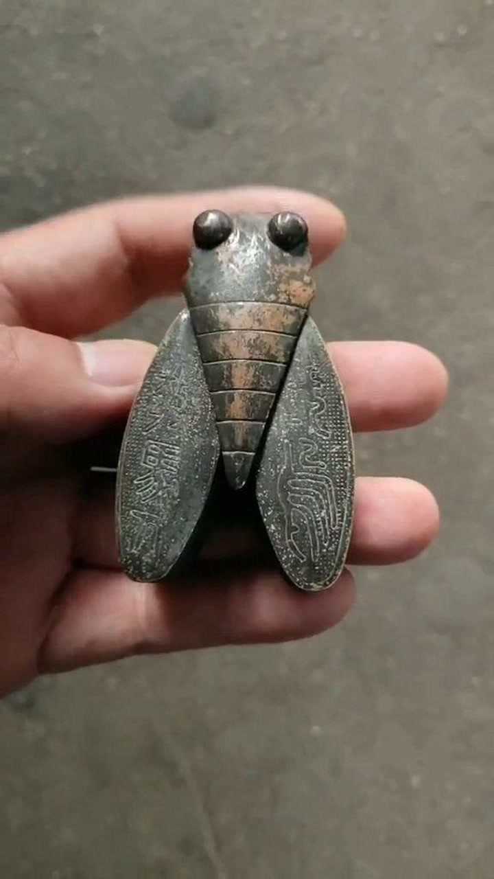 纯铜的知了,是古代的一种暗器