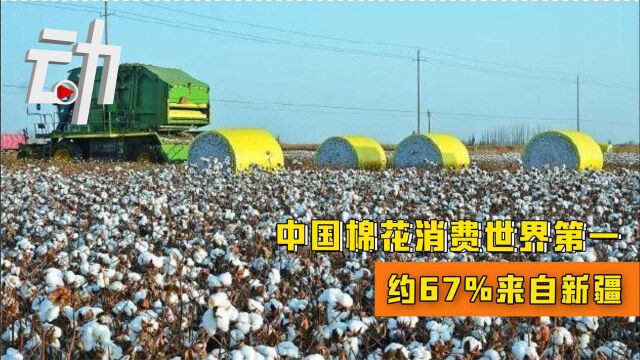 中国储备粮管理集团:中国棉花消费世界第一 约67%来自新疆