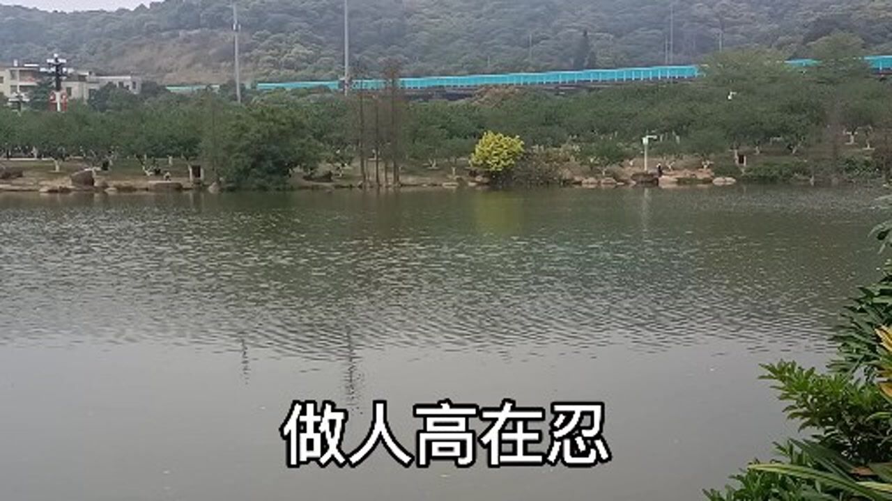不要和小人斤斤计较别把烦恼背负在身
