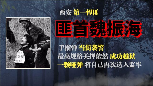 西安悍匪魏振海,借狱警协助成功越狱,枪决前称自己无罪