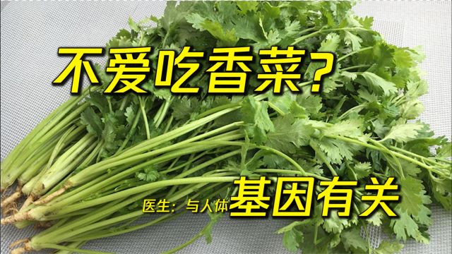 不爱吃香菜不是矫情!医生:与人体基因有关!