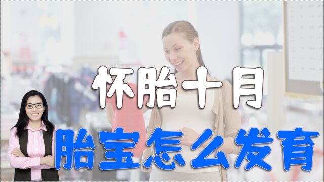 怀胎十月,胎宝宝在妈妈的子宫里是怎么长大的?一个视频告诉你