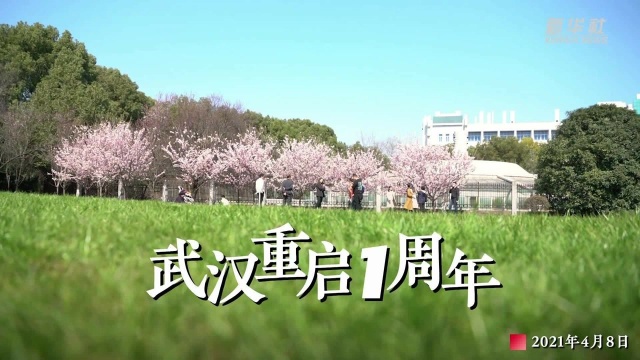 武汉重启一周年:从逐步复苏到全面开花