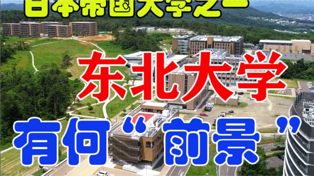 【日本留学】帝大之一,泰晤士排名TOP,东北大学,了解一下呗