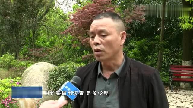 墓地融入“绿心”:株洲石峰区九郎山2045座私坟完成生态化改造